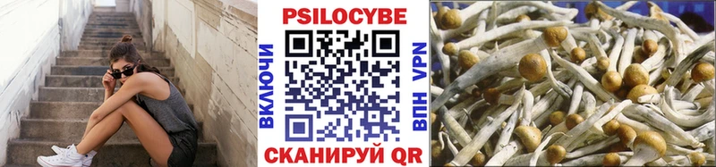 Псилоцибиновые грибы прущие грибы Артёмовск