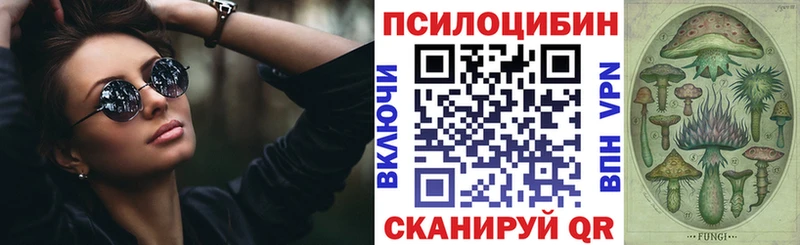 Галлюциногенные грибы GOLDEN TEACHER  купить наркотики сайты  Артёмовск 